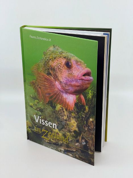 Afbeeldingen van Boek 'Vissen in Zeeland'