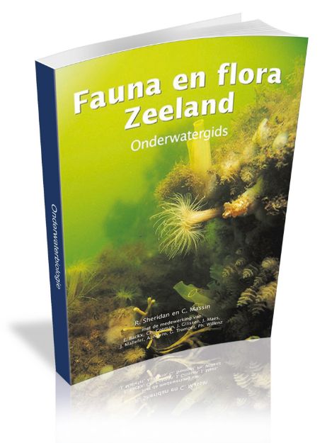 Afbeeldingen van Boek "Fauna en flora" + kaart