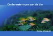 Afbeeldingen van De Var, duopakket